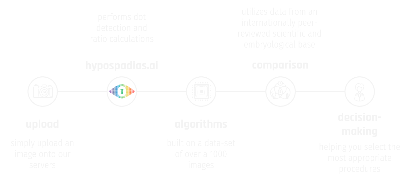 a-visual-representation-of-how-hypospadias-ai-works